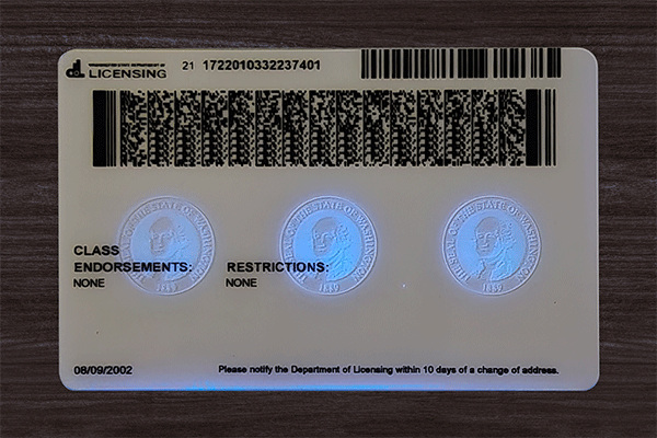 Washington Fake Dirvers Licence